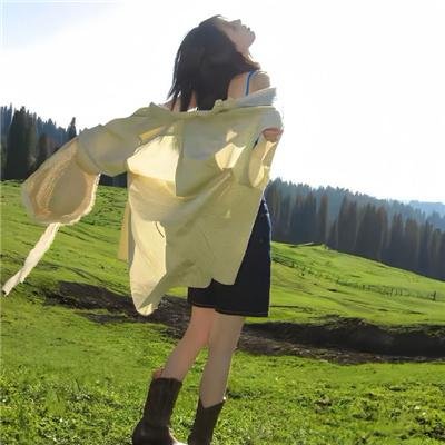 野战兵团